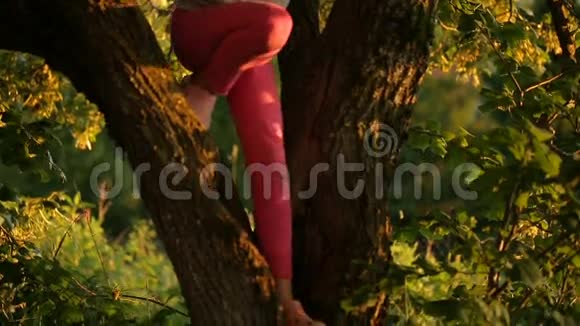 女孩从树上下来视频的预览图