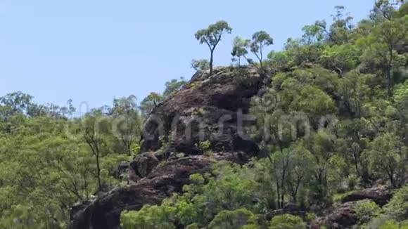 一座岩石山上生长着绿色植物视频的预览图