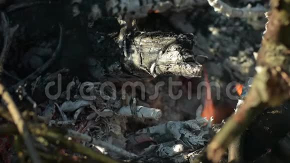 燃烧的原木上有灰烬和火焰视频的预览图