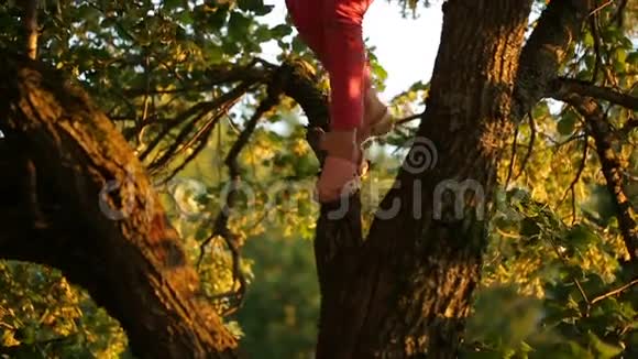 女孩从树上下来视频的预览图