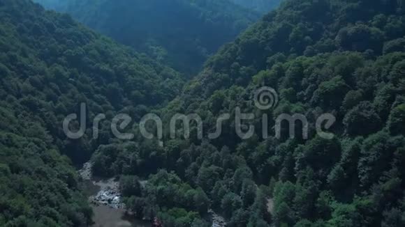 云雾缭绕的山林鸟瞰青山绿水云雾缭绕格鲁吉亚古里亚地区低视频的预览图