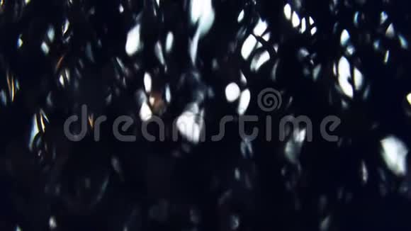 可怕的外星森林神秘的神秘燃烧森林景观视频的预览图