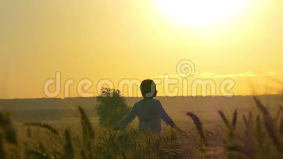 穿着白色连衣裙的女孩站在日落背景下的麦田里视频的预览图