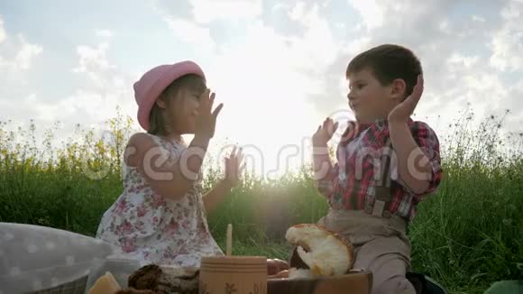 玩孩子在新鲜空气中玩兄弟姐妹野餐家人在大自然中休息孩子们笑视频的预览图
