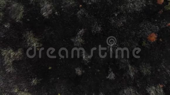 相机飞过秋田关掉摄像头空中观景在田野里飞过美丽的秋树视频的预览图