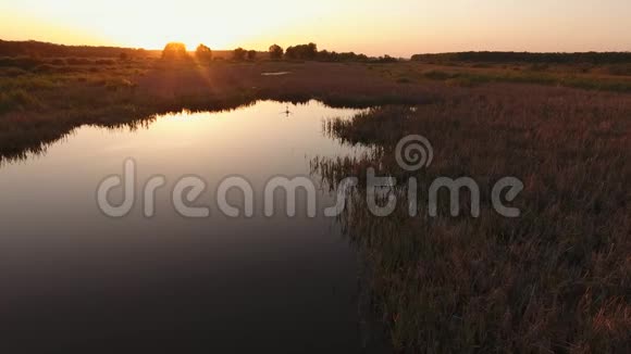 停一下精彩的日落湖面上日落孤独的天鹅空中拍摄视频的预览图