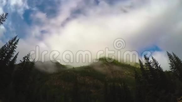 山上的淡雾视频的预览图