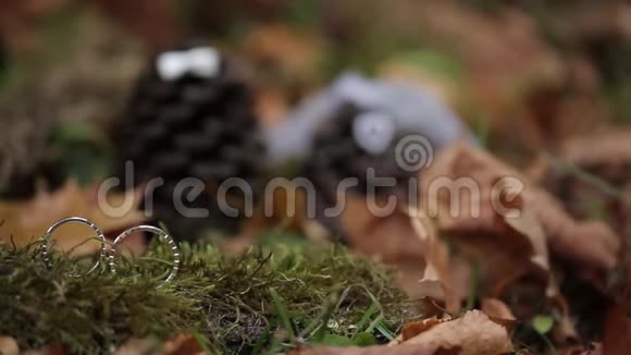 婚礼银环在雾中森林宏观特写拍摄钻石珠宝视频的预览图