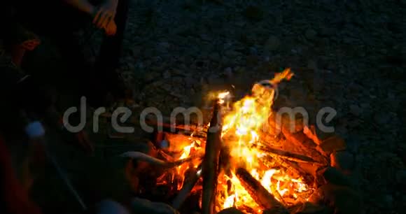 一群徒步旅行者在篝火旁烤棉花糖视频的预览图