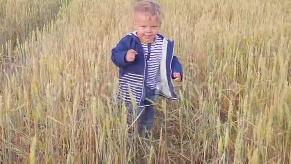 快乐的小男孩在阳光明媚的日子里带着小麦去野外小农场主的概念慢动作视频的预览图