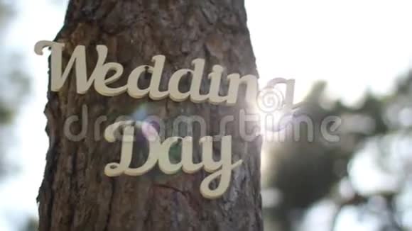 婚礼上装饰的树视频的预览图