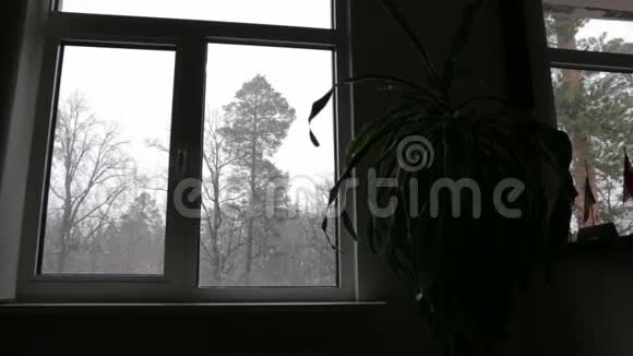 窗外的雪视频的预览图