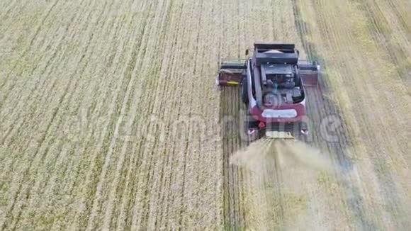 现代联合收割小麦的空中景观正上方飞行组合上景农业现场视频的预览图