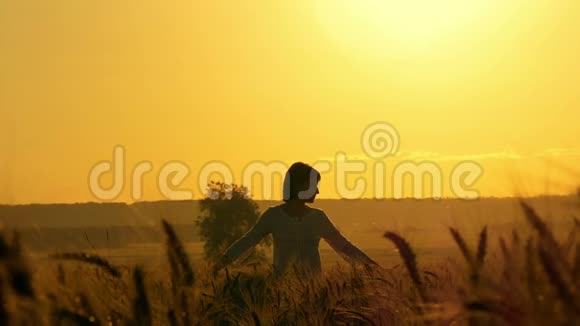 女孩正在夕阳的背景下在麦田里旋转视频的预览图