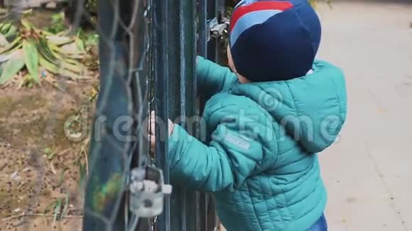 小男孩靠在门上用金属棒白人孩子正试图走出封闭的院子自由主题慢慢视频的预览图