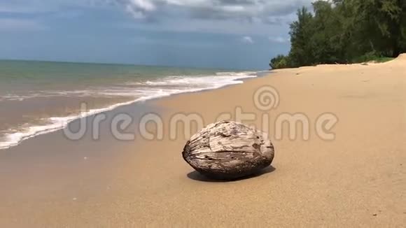 亚洲海滩上的椰子和浪花视频的预览图