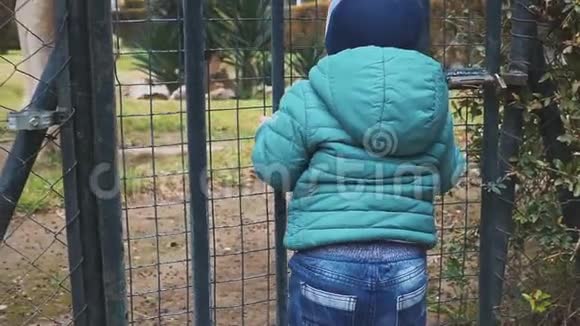 小男孩靠在门上用金属棒白人孩子正试图走出封闭的院子自由主题慢慢视频的预览图