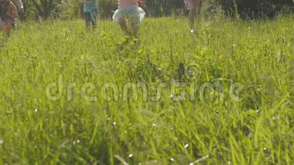 阳光明媚的夏日许多不同的孩子穿着便服在公园里跑步视频的预览图
