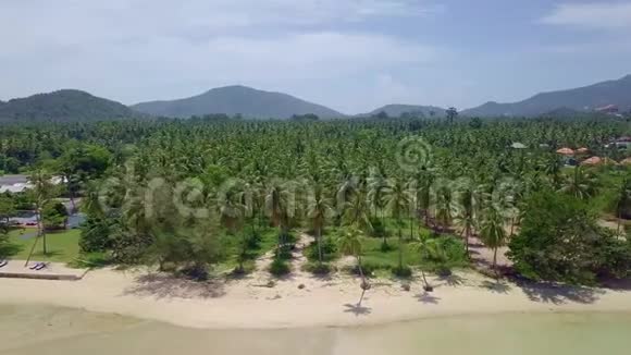 泰国热带海沙滩棕榈树海岸线鸟瞰图视频的预览图