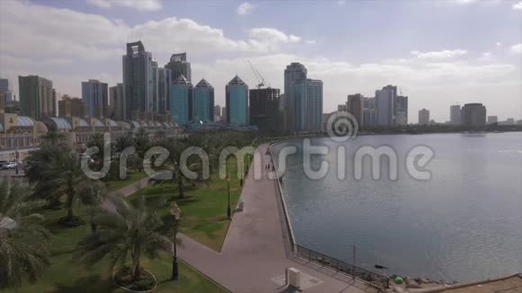 摩天大楼和棕榈树的城市湖泊码头视频的预览图