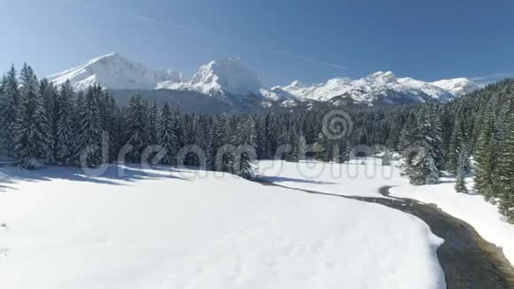 飞越白雪覆盖的云杉森林背景是群山视频的预览图