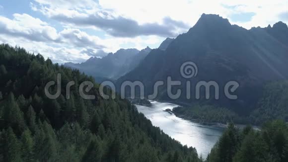 在阳光明媚的夏日空中向前的松树林森林揭示山谷湖欧洲意大利阿尔卑斯山视频的预览图