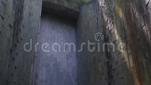 隧道上方的树是公园的一条砖步道视频的预览图