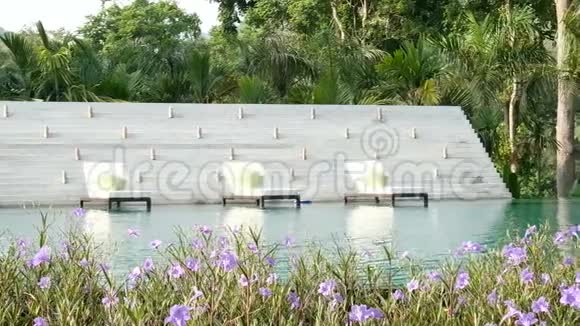 4K视频游泳池附近的躺椅自然绿树背景前景美丽的花朵波浪状的水在里面视频的预览图