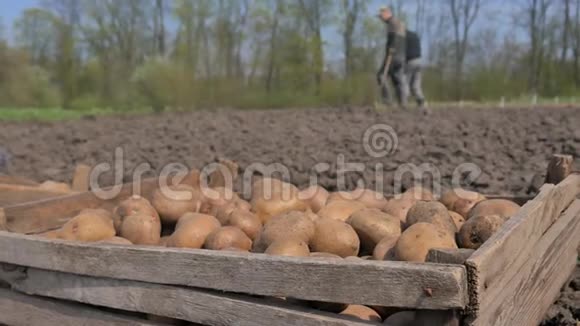 一个人在棺材里种土豆视频的预览图