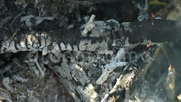 燃烧的原木上有灰烬和火焰视频的预览图