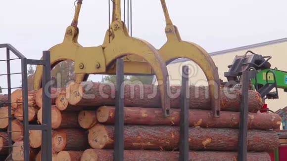 用吊车在锯木厂卸货用吊车卸下森林捕获日志视频的预览图