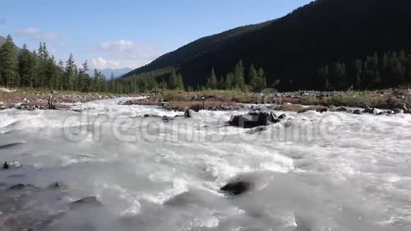 俄罗斯阿尔泰山间的石头上流淌着的阿克肯河视频的预览图