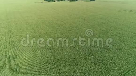 绿田工业农业耕作空中视频的预览图