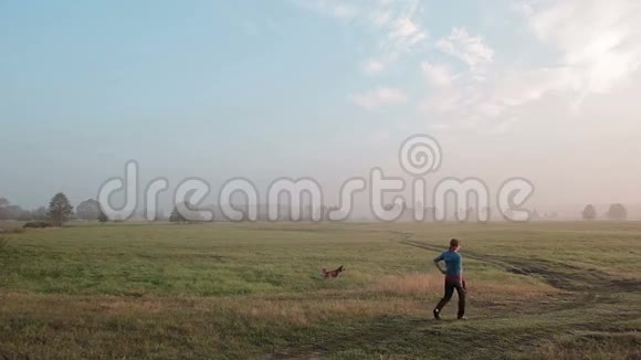 一只毛茸茸的红狗在夏天的草地上追逐一只老鼠欢快地挥动着尾巴一位在乡村公路上行走的当地妇女视频的预览图