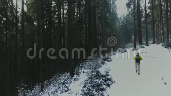 喀尔巴阡山脉冬季森林中游客散步的鸟瞰图4k视频视频的预览图