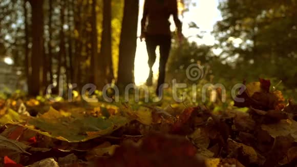 在阳光充足的森林里模糊的雌性在秋天落叶上奔跑阳光灿烂超级慢动作背景射击视频的预览图