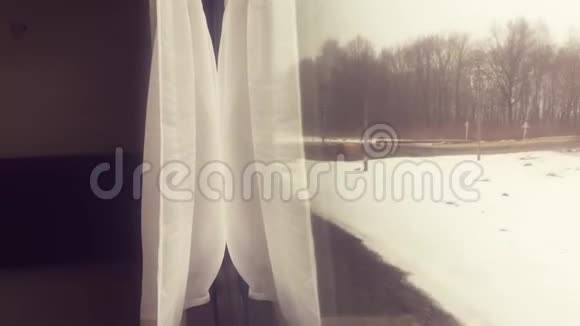 室内货车冬雪林窗外铁路车厢内一辆火车车厢概念火车旅程视频的预览图