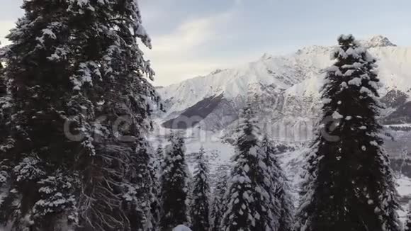 霜林雪山美丽山脉的宜人冬季景观视频的预览图