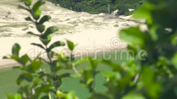 沙质的夏滩和透明的水的绿松石海绿色的沙质海岸和晶莹清澈的海水热带视频的预览图