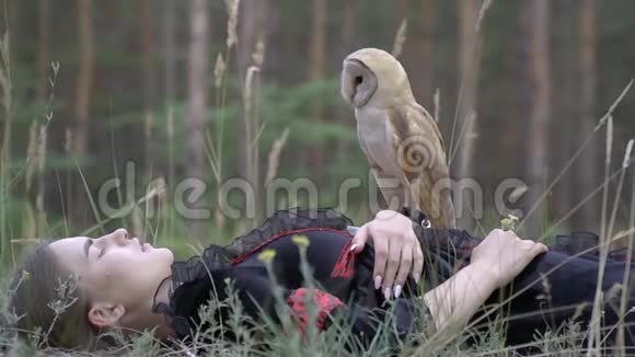 一只可爱的小猫头鹰黑眼睛坐在一个深色头发的女人身上穿着一件黑红色的衣服躺在针叶林里他们视频的预览图