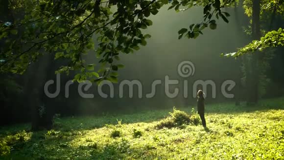 雨后站在清晨森林里的女孩视频的预览图