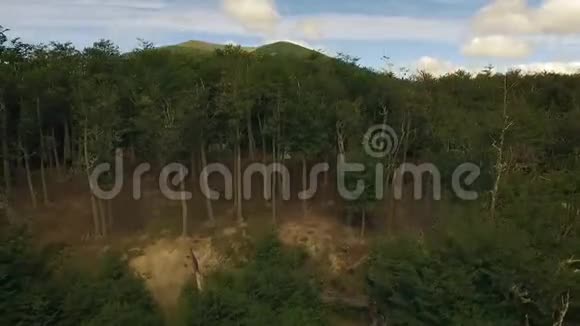 鸟瞰绿色森林和遥远的山丘视频的预览图