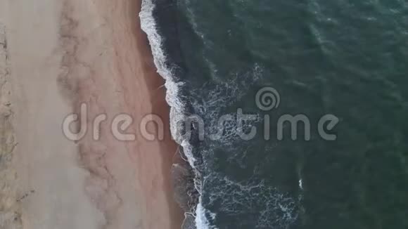 一段关于日落后蓝色小时热带海滩的视频显示傍晚绿色的画面视频的预览图
