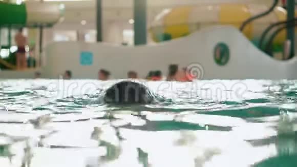 男孩少年在水中的公共室内游泳池水上公园视频的预览图