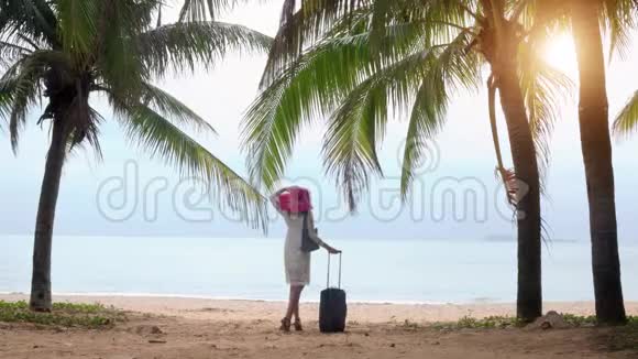 带行李架的女游客视频的预览图