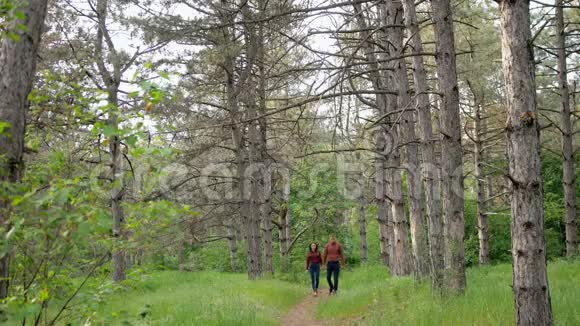 美丽优雅的情侣相爱走在树林里浪漫的约会视频的预览图