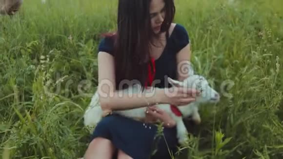 美丽的黑发女孩穿着一件连衣裙坐在高绿的草地上抱着白山羊用草和草喂它视频的预览图