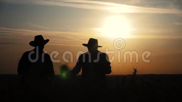 农业耕作两个农民团队在日落时在一上剪影红脖子在日落时检查小麦作物男性农民视频的预览图