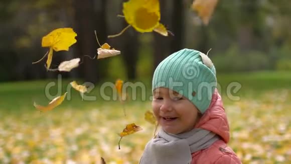 秋天公园里美丽快乐的小女孩的肖像在秋天的公园里玩妈妈和女孩扔树叶视频的预览图