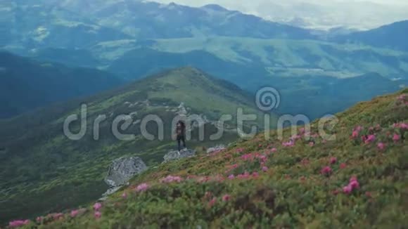 一位迷人的年轻女游客站在危险的高处在岩石的悬崖上遥望着这位年轻女游客视频的预览图